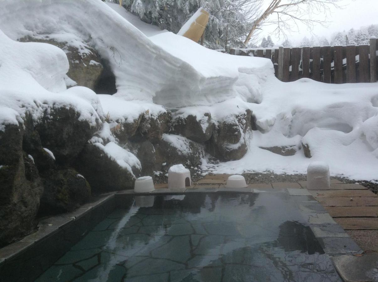 Shiga Riverside Hotel Yamanouchi  Εξωτερικό φωτογραφία